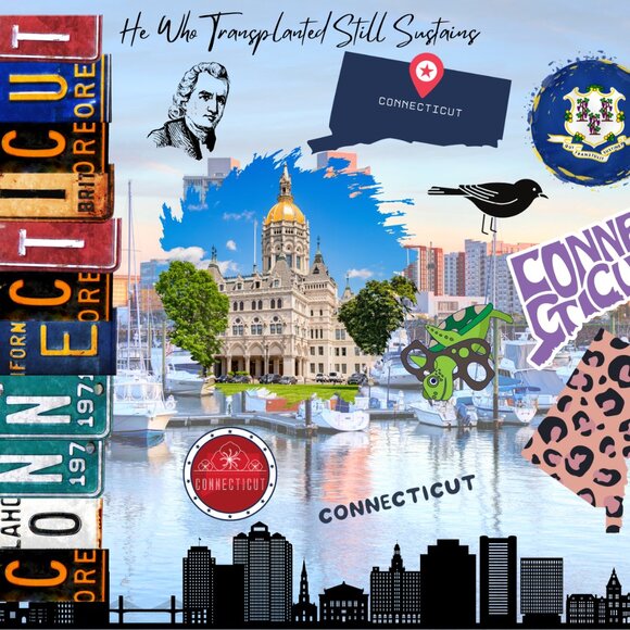 Connecticut Tumbler, Connecticut State Cup, 20oz Stainless Steel Skinny Tumbler - Picture 2 of 7